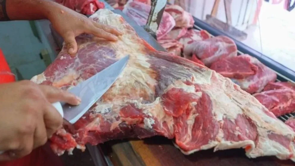 El consumo de carne vacuna cayó un 11 3 interanual en 2024 es el