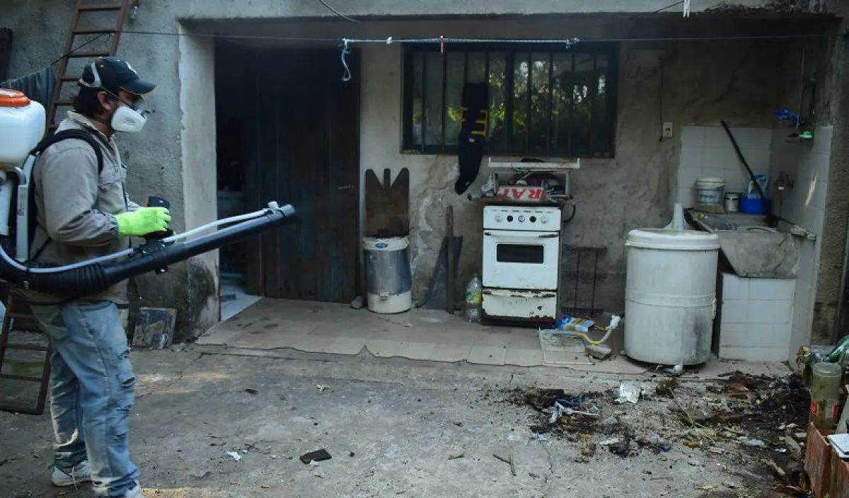 Operativo de descacharrizado, desmalezado y fumigación en los barrios ...