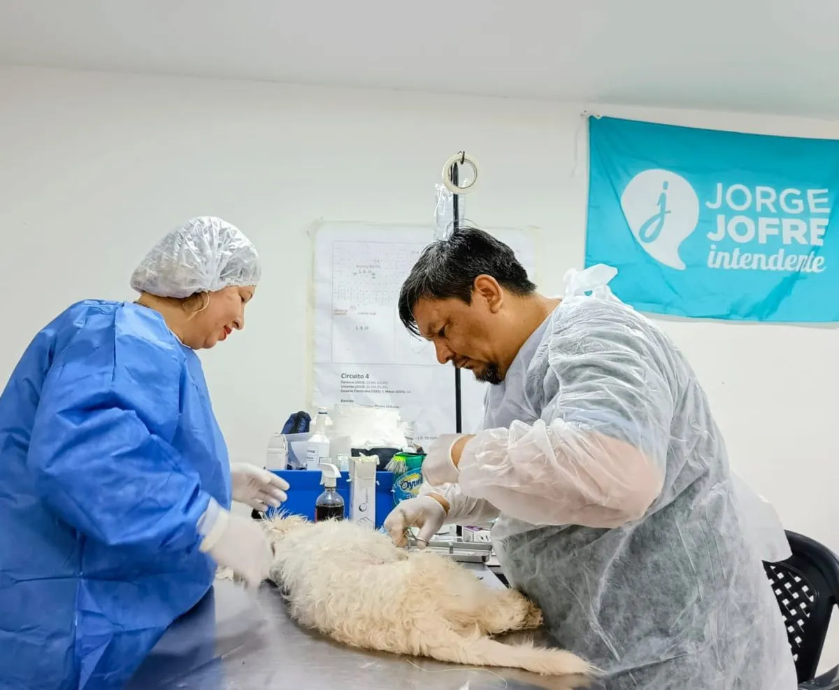 El Castramóvil municipal estará este lunes en el Lote 33 | GuauFormosa