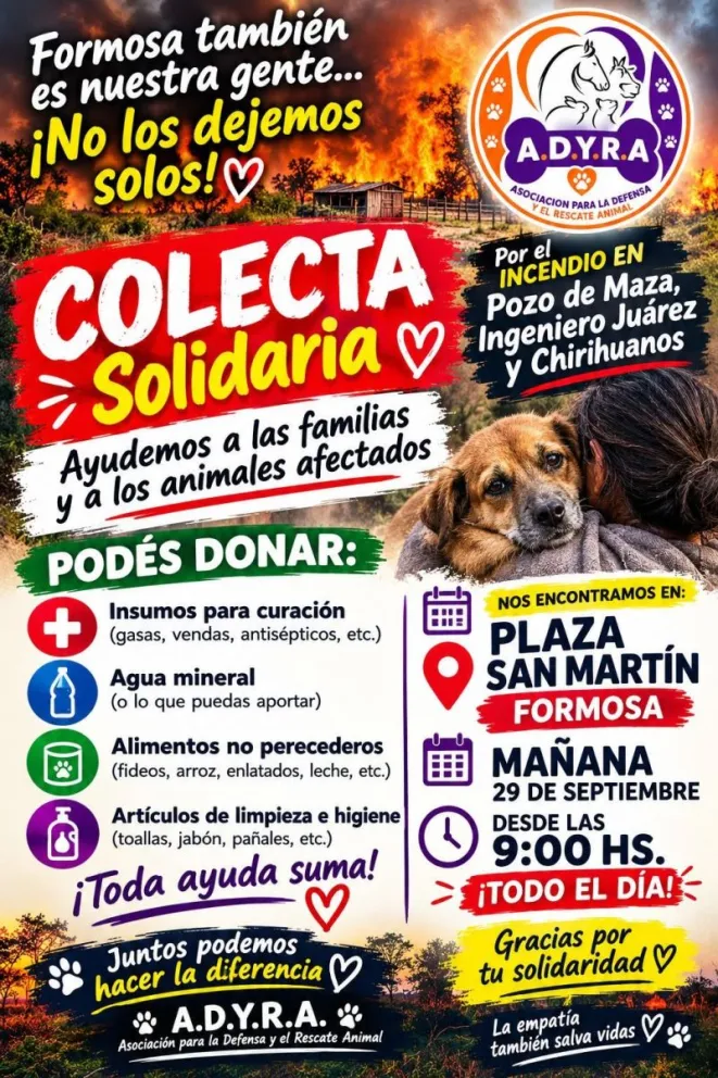 Asociaciones y proteccionistas organizan colecta para asistir a animales afectados por el fuego